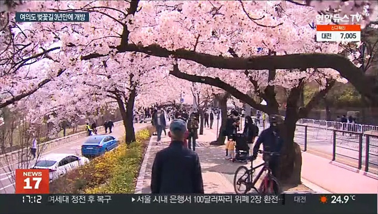 3년 만에 열린 여의도 벚꽃길…상춘객 '북적'