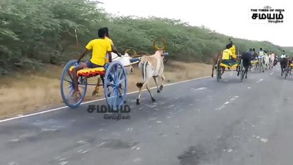 இராமநாதபுரம் கடலாடி கோயில் திருவிழா; சீறிப்பாய்ந்த மாடுகள்!