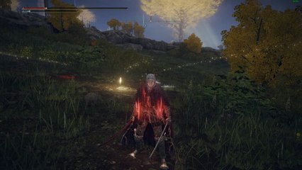 Elden Ring : comment regagner des points de vie sans fiole ?