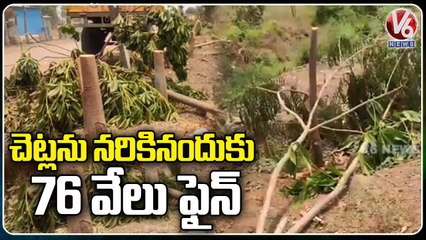 Electricity Department Officials Gets Fined For Destroying Haritha Haram Plants | Nirmal | V6 News