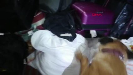 YOLCU OTOBÜSÜNDEKİ 2 KİLO TOZ ESRARI 'LESİ' BULDU - YENİDEN