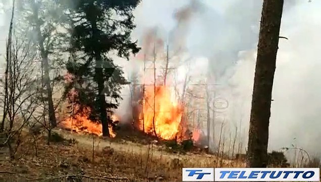 Video News - ROGHI, CORSA CONTRO IL TEMPO