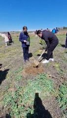 "Tohumun fidana dönüşüm serüveni" Esenyurt'ta fidanlar onların elleri ile toprakla buluştu