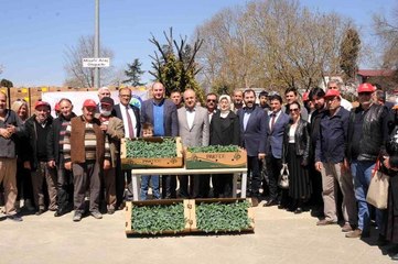 Son dakika haberi: Yalova'nın atıl arazileri projelerle tarıma kazandırılıyor