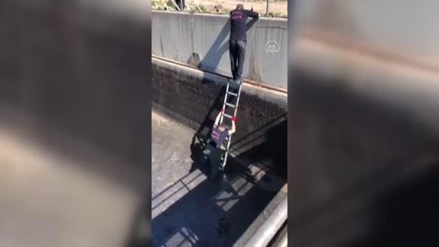 Son dakika... Çamura saplanan leyleği itfaiye ekipleri kurtardı