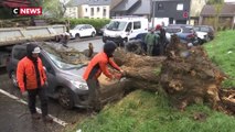 La tempête Diego fait des ravages en Loire-Atlantique