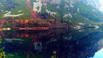 Sembrando Esperanza - El asombroso amor de Dios - Sergio Martín - 09.04.2022