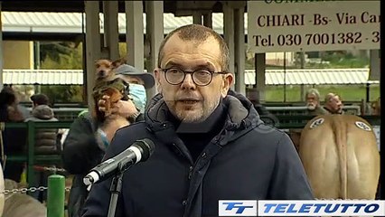 Video News - IN PIAZZA CON NOI A ROVATO