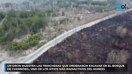 Un dron muestra las trincheras que ordenaron excavar en el bosque de Chernóbil, uno de los sitios más radioactivos del mundo