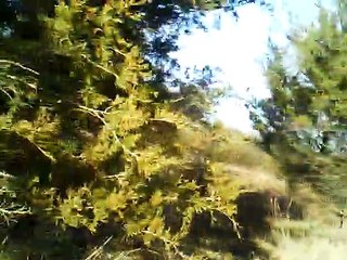 believe me if all those enduring young charms guitar