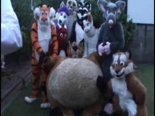 Birthday Blowup - 2010