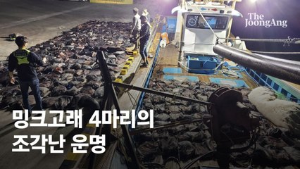 가짜로 발칵 '21t 고래싸움'…'바다로또' 안 놔주는 검수완박 유령 [뉴스원샷]