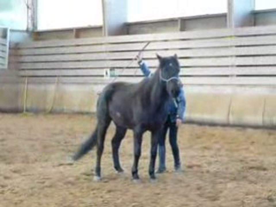 Aspiration des hanches début de valses