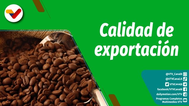 Cultivando Patria | Conoce los diversos tipos de café venezolano con calidad de exportación