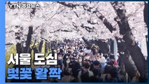 [날씨] 활짝 핀 도심 벚꽃...최고 기온 30℃ 동해안 산불 비상 / YTN