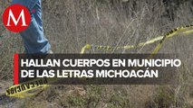 En Michoacán, hallan once cadáveres en fosa clandestina