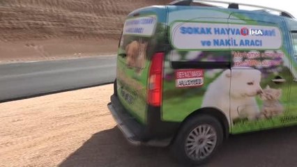 Can dostlar için 'Tedavi ve Nakil Aracı' hizmete girdi