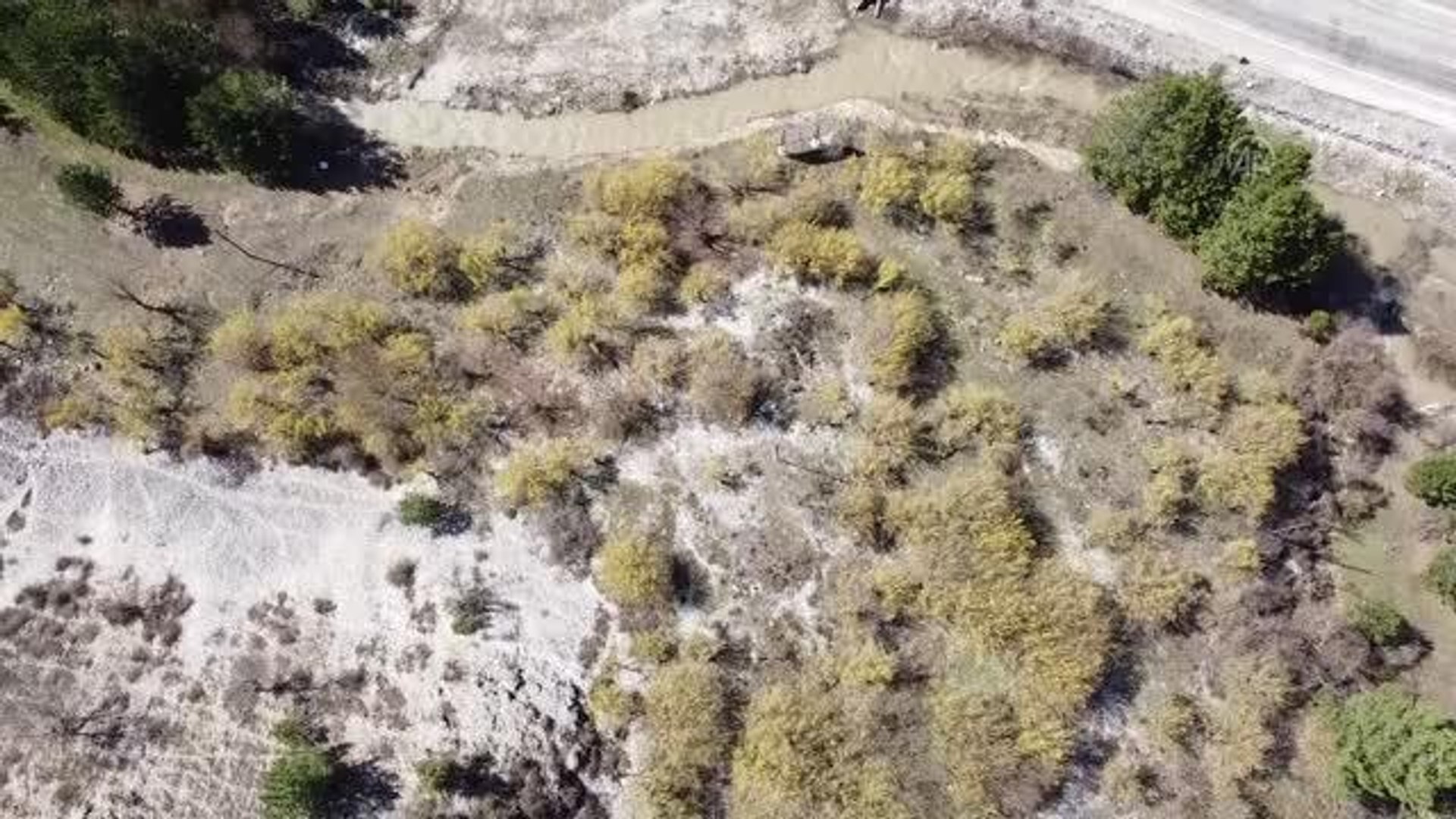 ⁣(DRONE) Göynük'te kızılcık ağaçları çiçek açtı