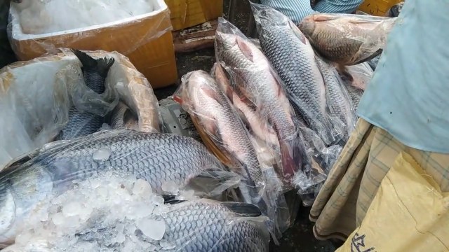 How many kinds of fish are there? Bangladeshi fish market |