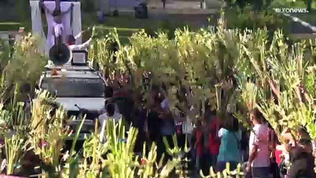 Gli ulivi della pace sventolano in tutto il mondo cristiano in occasione delle domenica delle palme