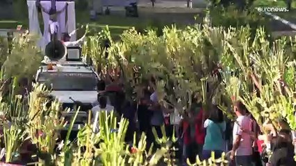 Papa condena "loucura da guerra" em homilia do Domingo de Ramos