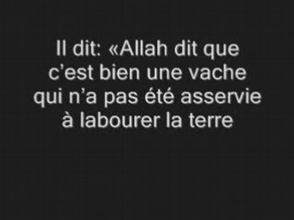 L'histoire de la vache
