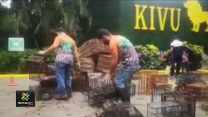 tn7-Sinac-destruyó-poco-más-de-300-jaulas-que-fueron-decomisadas-120422