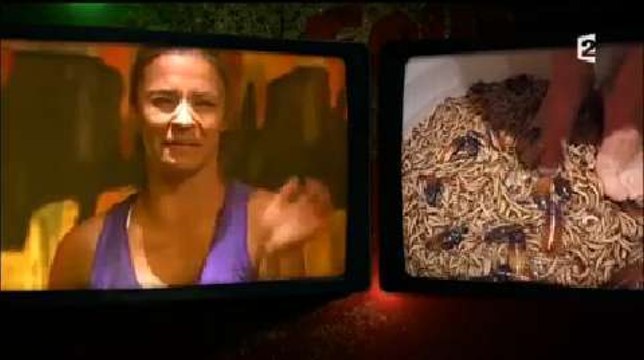 Denitsa Ikonomova en mode hurlements face aux insectes