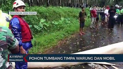 Pohon Tumbang Timpa Warung dan Mobil