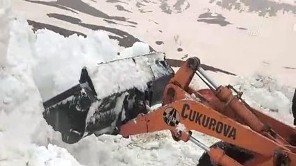 Berçelan Yaylası yolunda karla mücadele sürüyor