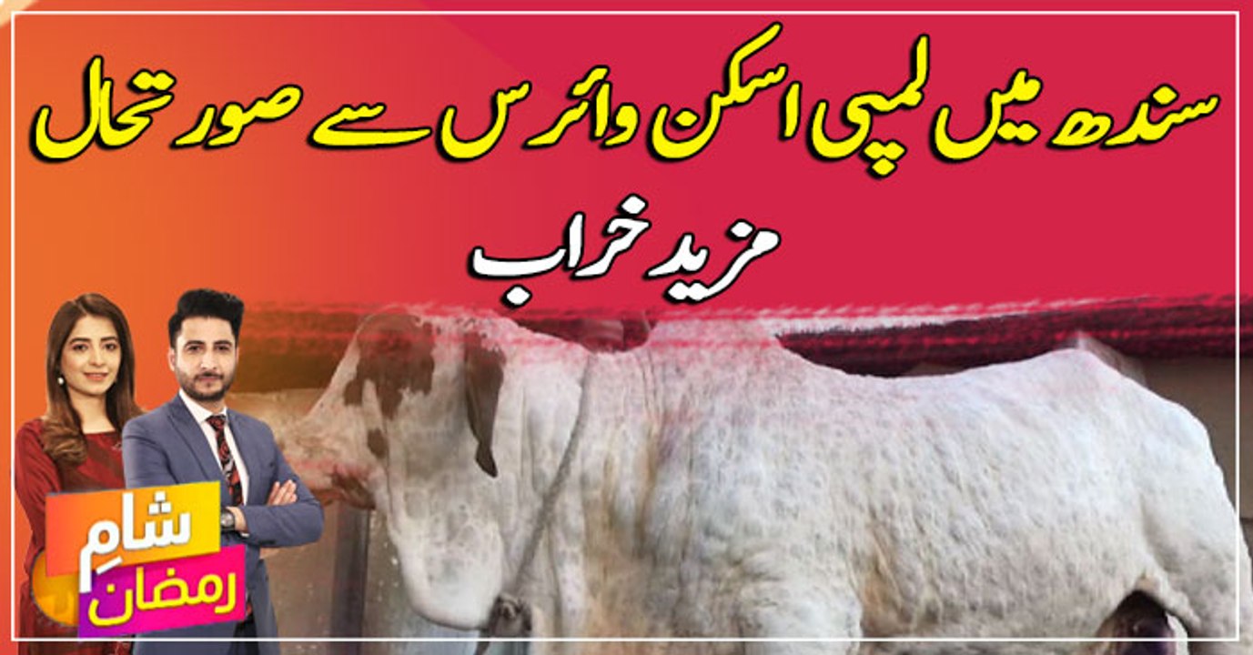 Lumpy skin disease outbreak reported in Sindh