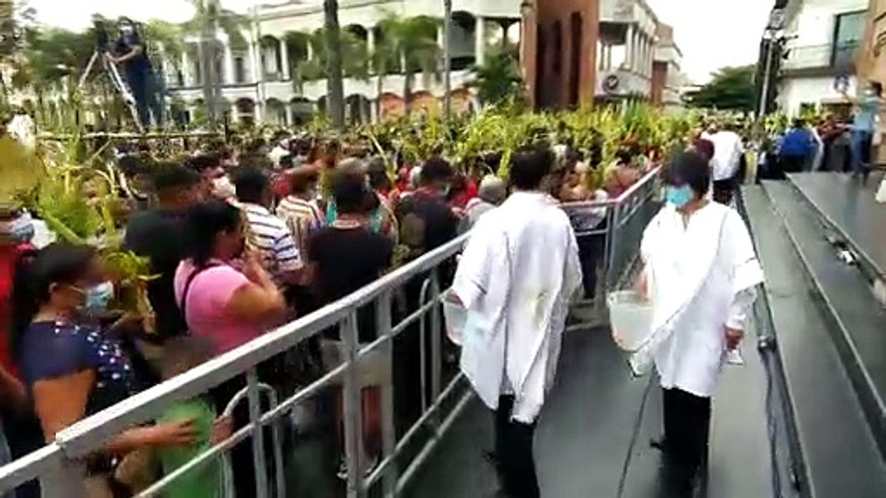 Domingo de Ramos