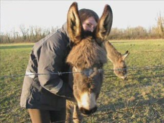 Vidéo chevaux ,anes -Karol-Le bateau blanc