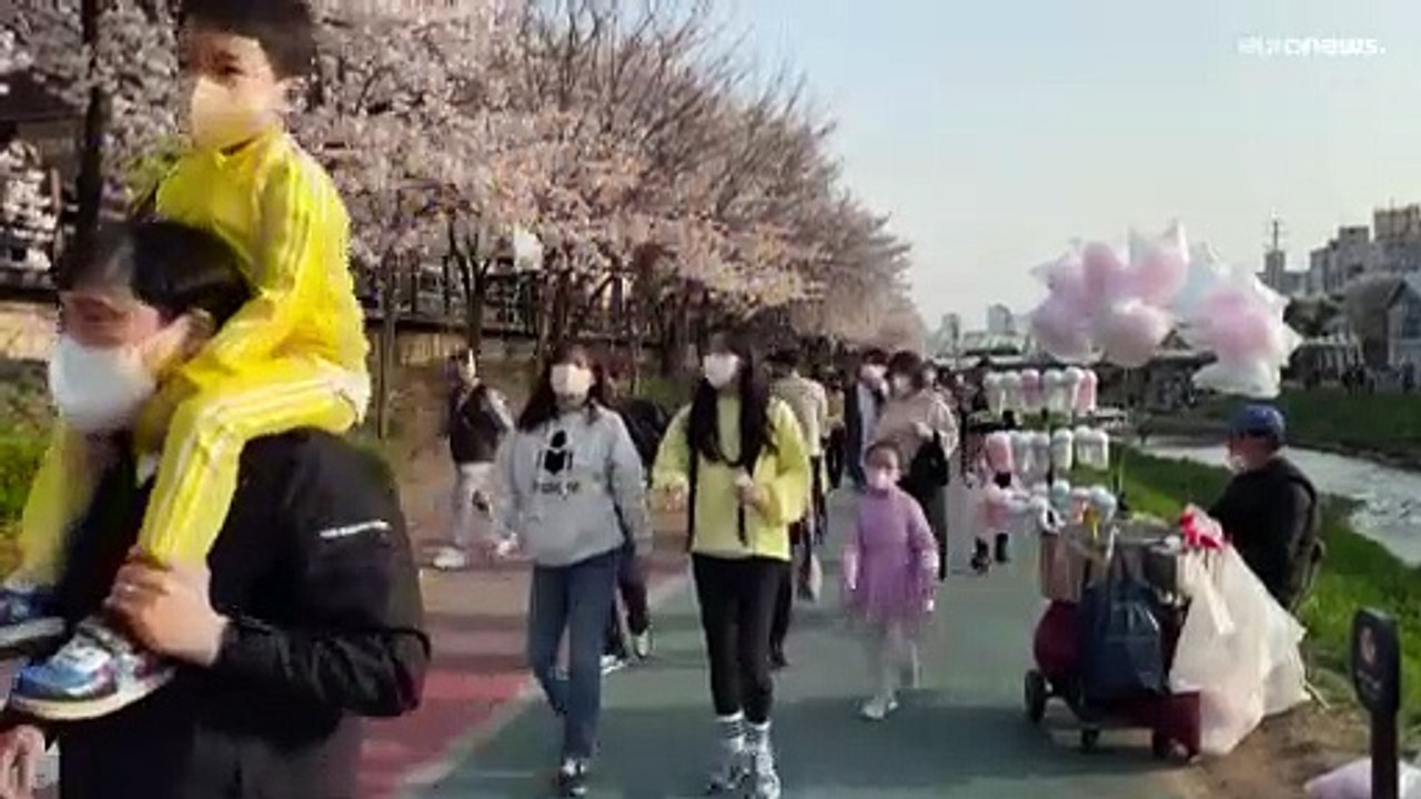 Seoul: Blütenträume vom 'glücklichen Alltag ohne Maske'