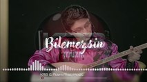 Güler Duman - Bilemezsin 2022 (Türkü Trap Remix)