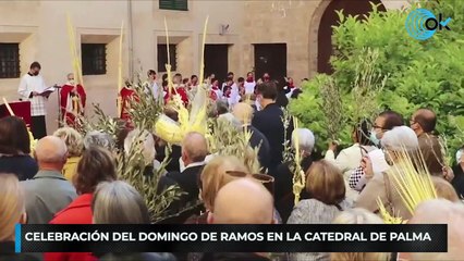 Descargar video: Celebración del domingo de Ramos en la Catedral de Palma