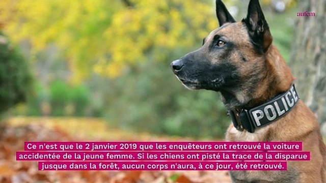 Faits divers : la disparition de Lesline Ravel, cette autre affaire Jubillar