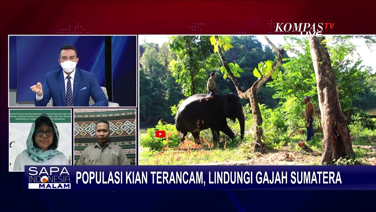 Bagaimana Upaya Meminimalisasi Konflik Antara G...
