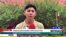 Jóvenes instan a proteger los bosques de Santa Cruz de Yojoa y frenar contaminación en el Lago de Yojoa
