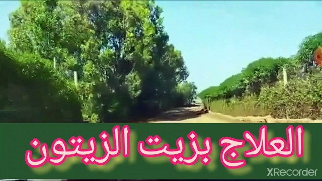 نقي قلبك ربع معلقه من زيت الزيتون فيها فايده عظيمة