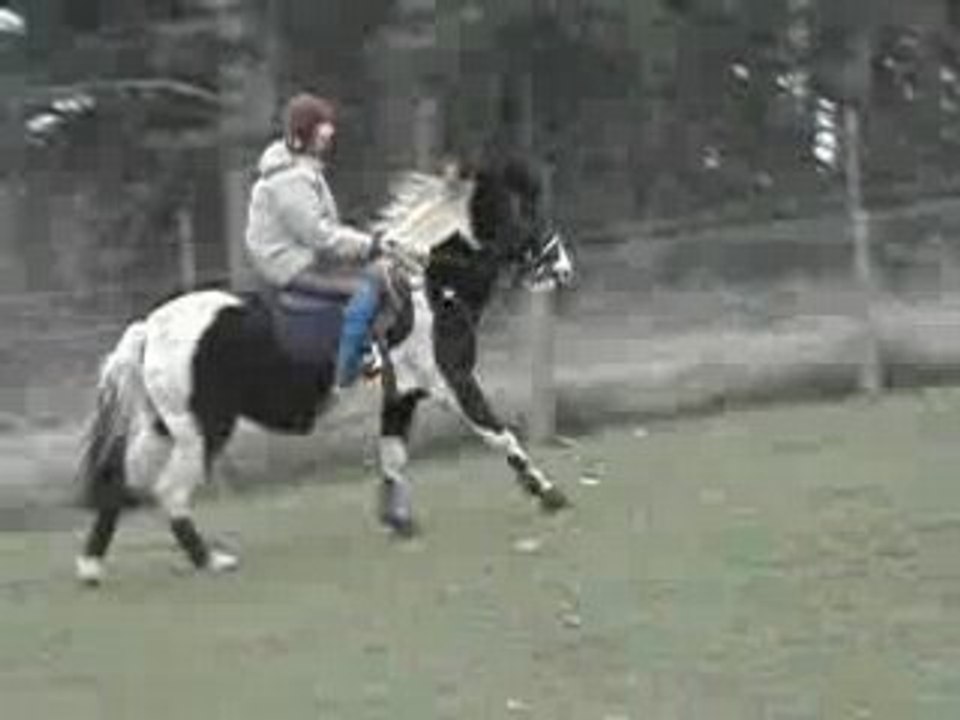 DSCN4271