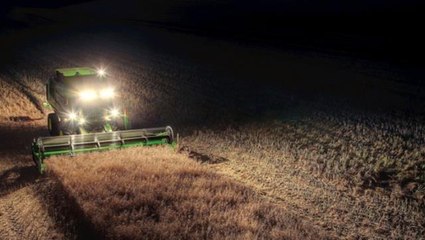 Koca ülkeyi ürküten esrarengiz olay! Tarladaki seslere koştu, küçük çocuğu kaçıran yaratıkla karşılaştı
