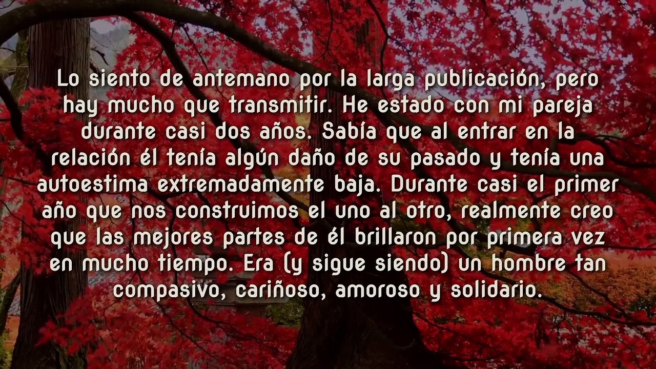 Amor y Desamores #1 Estoy completamente perdida... pero no estoy dispuesta a rendirme