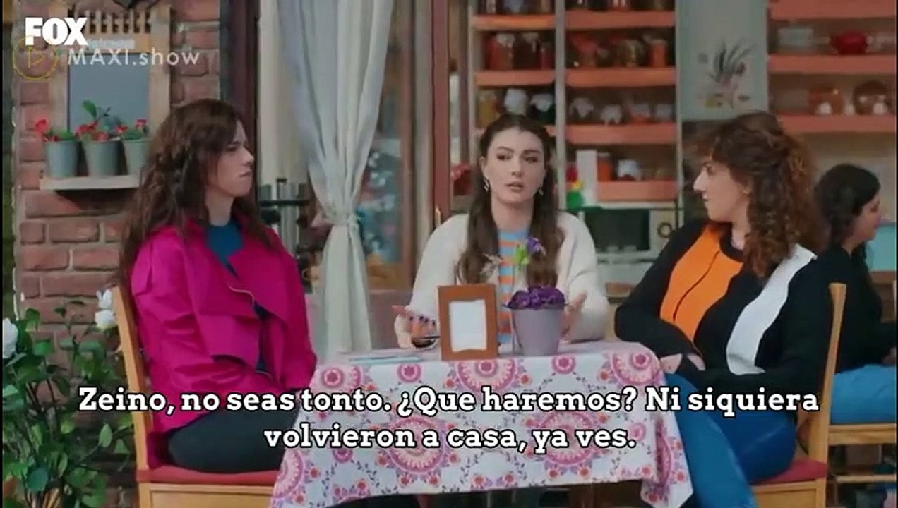Logica Venganza de Amor (Ask Mantik Intikam) Capitulo 80
