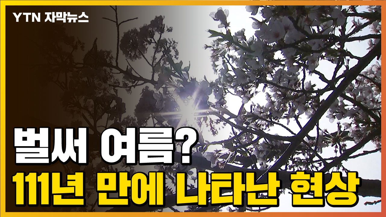 [자막뉴스] 111년 만의 이례적 현상..."4월이 이렇게 더웠나요?" / YTN