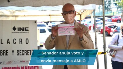 Dante Delgado anula su voto y advierte que revocación de mandato es una pantomima