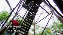 Lost World Of The Maya Full Episode National Geographic