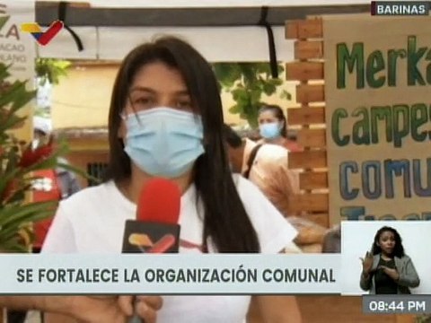 Entérate | Productores comunales de Barinas incrementarán la siembra de rubros agrícolas