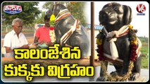 Tamil Nadu Man Spends Rs 80,000 To Build Statue In Memory Of His Dog _  V6 Weekend Teenmaar