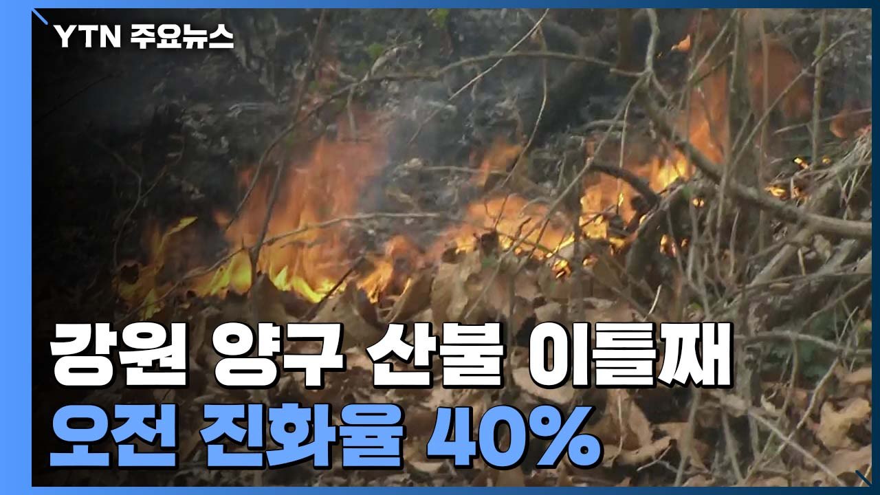 강원도 양구 산불 이틀째...짙은 연기에 헬기 투입 차질 / YTN